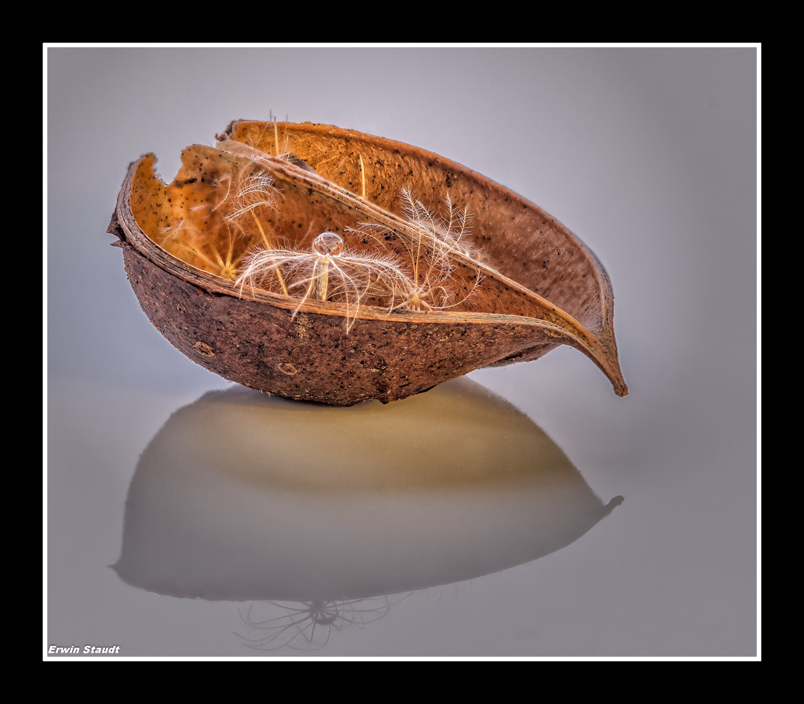 erwinstaudt, Německo, deutschland, nRW, deska stolu, Oberhausen, Europa, nussschale, natur, detail, whiteopalbackground, makro, 100mm, pentax, kx, světlo, barva, struktur, výtvarné umění, detailní, barvy, Stativ, Stillleben, stohování, fernausl ser, reflektion