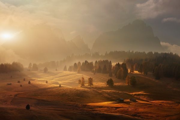 sunlight, trees, landscape, forest, fall, sunset