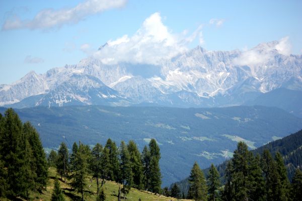 Austria,Alps,mountains,trees