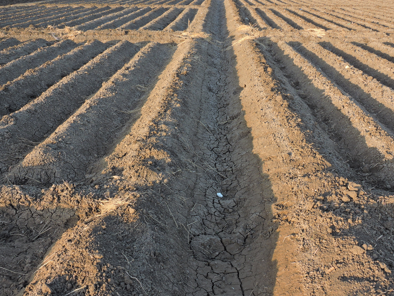 Wallpaper sand, field, asphalt, agriculture, drought, soil, grass