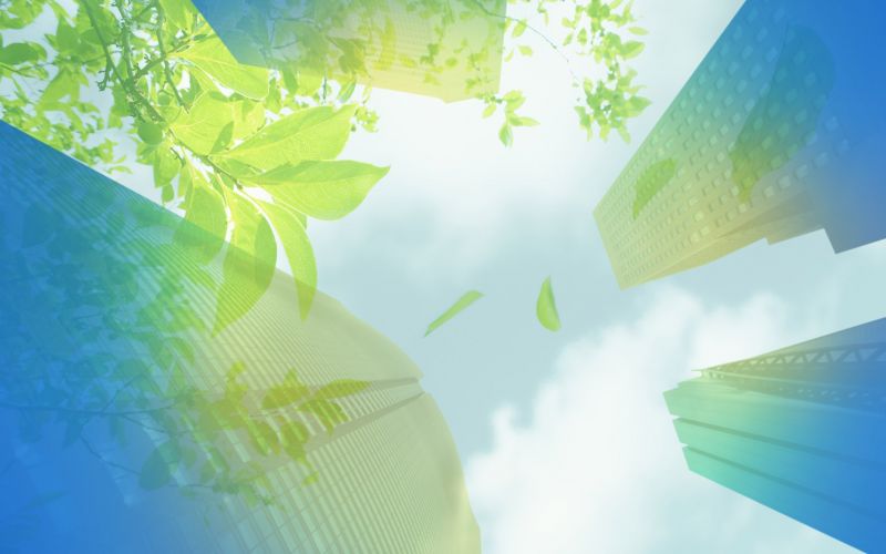 sunlight, drawing, illustration, building, leaves, reflection sunlight, drawing, illustration, building, leaves, reflection