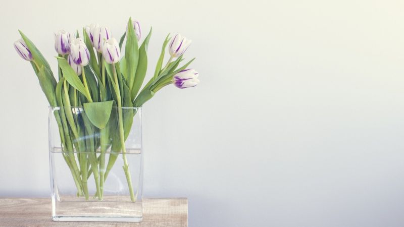 green, glass, flower, flowers, ART, plant green, glass, flower, flowers, ART, plant