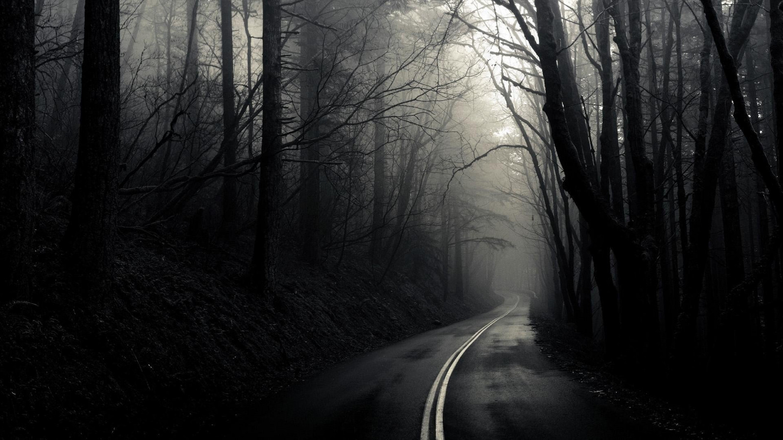 1920x1080 px, monocromo, strada, alberi