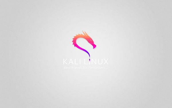 hacking, 1920x1200 px, CG, computer, hackers, Kali Linux