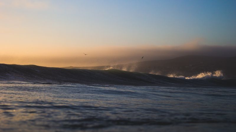 sunlight, landscape, sunset, sea, birds, bay sunlight, landscape, sunset, sea, birds, bay