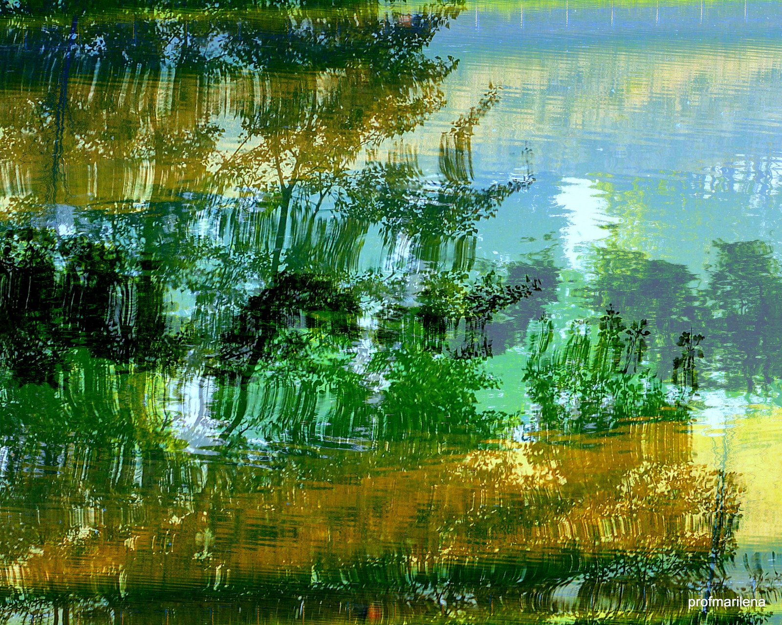 slunečnímu záření, les, jezero, voda, Příroda, koláž, odraz, ráno, rybník, bažina, mokřadní, UMĚNÍ, strom, list, květ, rostlina, sen, louka, tvořivý, bayou, waterreflections, bažina, místo výskytu, přírodní prostředí, atmosférický jev, dřevina, ekosystém, rybník, sunsetonwater, relaxingwaters