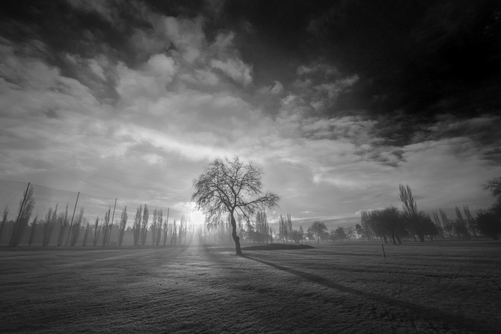 sollys, landskab, hvid, sort, monokrom, natur, himmel, skygge, vinter, kunstværk, skyer, solopgang, aften, morgen, tåge, Sol, horisont, atmosfære, Nikon, skumring, dagslys, dug, nuancer, bjælke, toner, KUNST, lys, sort og hvid, vidvinkel, Sky, stråler, træ, NIKKOR, tidlig, skygger, tåge, vejr, daggry, sæson, bw, sort hvid, mørke, fin kunst, photographyforrecreationeliteclub, D800E, juan, photographyforrecreationclassic, 1424mm, atmosfærisk fænomen, sort og hvid, monokrom fotografering, meteorologisk fænomen, 15mm, golfbane, rostworowski