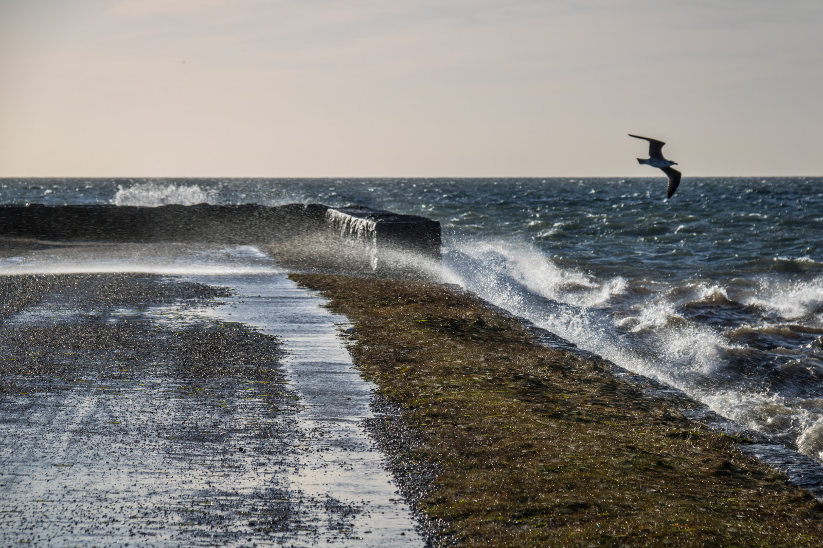 moře, záliv, voda, Skála, pobřeží, písek, pláž, pobřeží, útes, vítr, horizont, větrný, Terén, oceán, vlna, hav, gisl vshamn, bl st, stormigt, vind, tělo z vody, mořská vlna