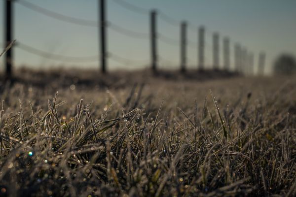 water,nature,photography,sunlight,grass,field