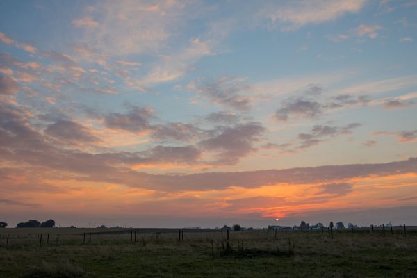 sunlight, landscape, sunset, sky, field, sunrise