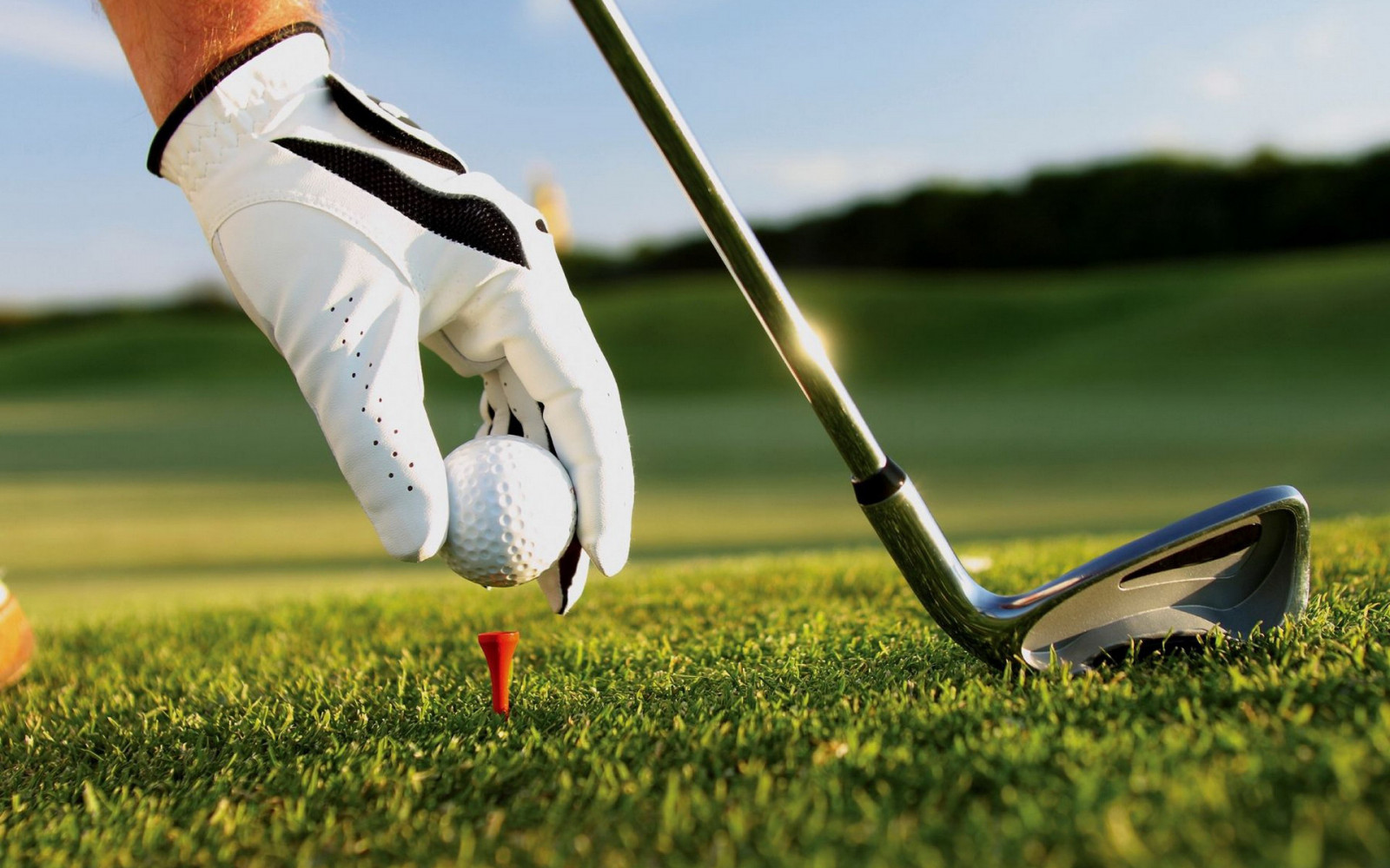 sportovní, sport, tráva, rukavice, míče, golf, volný čas, rekreace, rekreaci ve volné přírodě, individuální sporty, Míčová hra, golfový klub, golfové vybavení, hráč golfu, profesionální golfista, pitch and putt, fourball