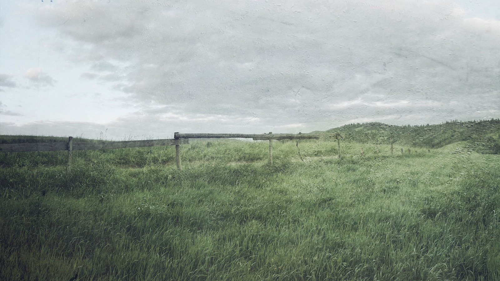 แนวนอน, เนินเขา, ธรรมชาติ, หญ้า, ฟิลด์, เช้า, หมอก, ฟาร์ม, ลม, ขอบฟ้า, ที่ราบสูง, บริภาษ, พื้นที่ชุ่มน้ำ, เมฆ, ภูเขา, สภาพอากาศ, ทุ่งหญ้า, ทุ่งเลี้ยงสัตว์, ทุ่งหญ้า, ที่ราบ, ทุ่งหญ้า, บึง, เขตชนบท, ถิ่นที่อยู่, สภาพแวดล้อมทางธรรมชาติ, ปรากฏการณ์บรรยากาศ, ลักษณะภูมิประเทศที่เป็นภูเขา, ระบบนิเวศ