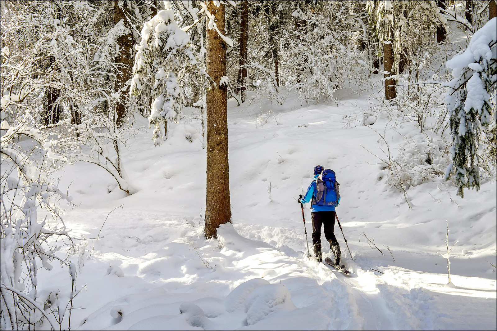 stromy, hory, sníh, zima, led, cesta, Alpy, Bavaria, zmrazení, světlo, strom, švestka, ranní světlo, brzy ráno, stezka, sněžnice, fuji, dobrodružství, vánice, Schnee, bayern, alpen, Berge, licht, heinrichplum, XE2, obuv, snowcoveredtrees, Zemský okres Berchtesgadener Land, geologický fenomén, zimní sport, Běžkování, horolezectví, lyžařské túry, běh na lyžích, Skitour, morgenlicht, morgenstimmung, skitouring, backcountryskiing, xf35mmf2