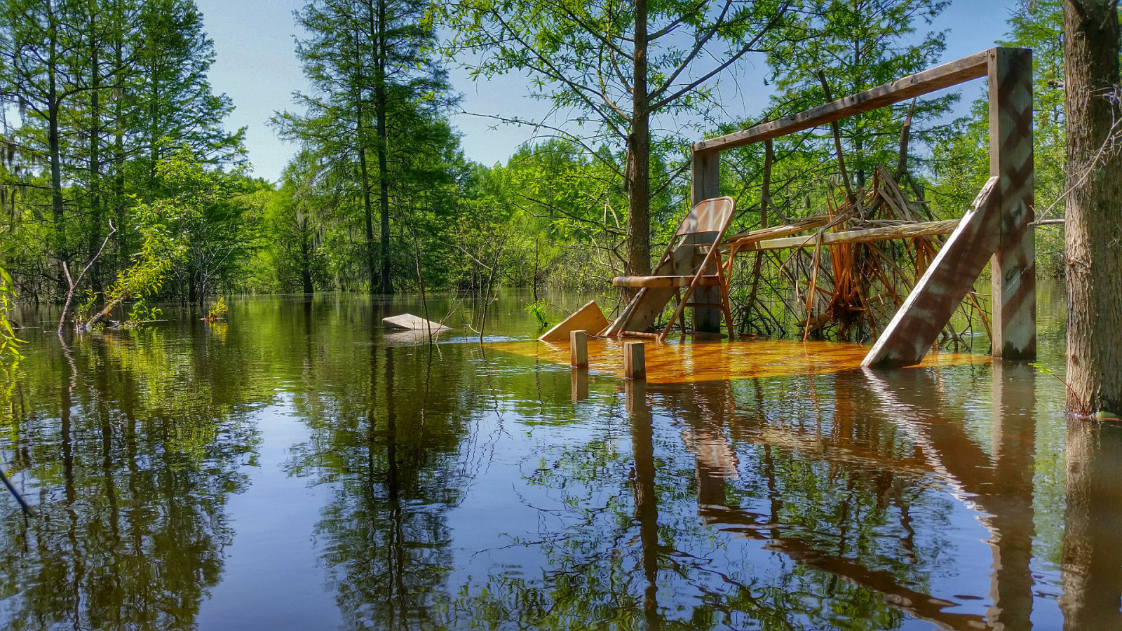 dřevo, ráno, stromy, světlo, SC, Příroda, voda, kajak, plošina, Jižní Karolína, Samsung, galaxie, kayaking, bažina, spanishmoss, duben, rezavění, ponořený, pádlování, zaplavila, s5, 2015, baldcypress, fishingplatform, 2x6, lakemarion, metalfoldingchair, marc50, sparkleberry, sparkleberryswamp