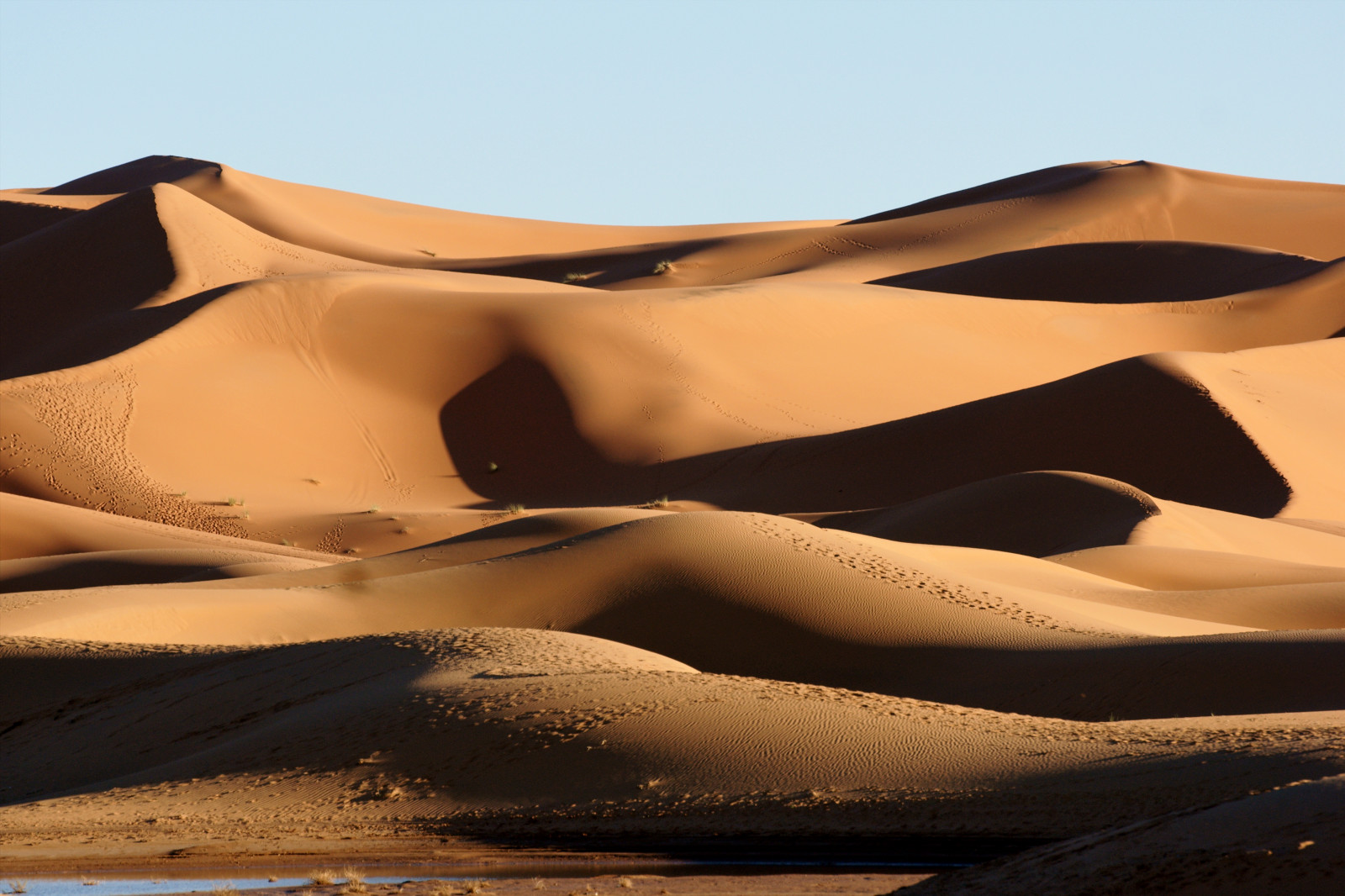 krajina, písek, nebe, poušť, Sony, Afrika, duna, Maroko, Sahara, paysage, světlo, stíny, Landschaft, venkovní, maroc, Marokko, střevíc, licht, Schatten, afrika, Afrique, písečné duny, ekosystém, Liparské landform, ERG, A700, wvons, ekoregion, w ste, zpěv písek, Sandd nen, Lesdunesdesable, product design