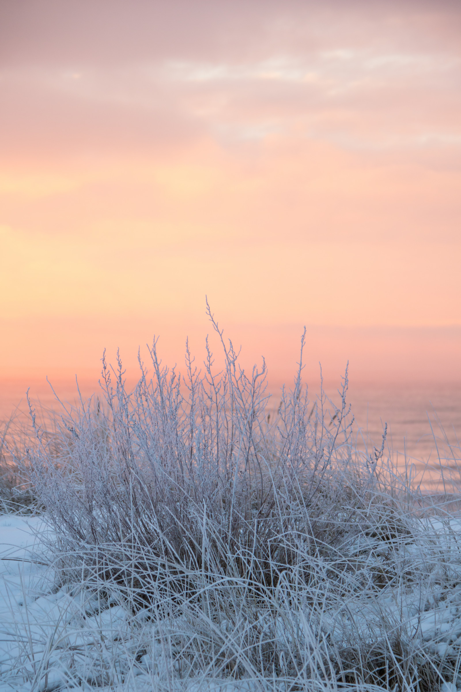 sollys, solnedgang, natur, afspejling, himmel, sne, vinter, afdeling, solopgang, kold, aften, morgen, frost, horisont, skumring, rime, Fryser, Sky, træ, vejr, daggry, sæson, vinter, soluppg ng, Kallt, Skateholm, rimfrost, prærie, atmosfærisk fænomen