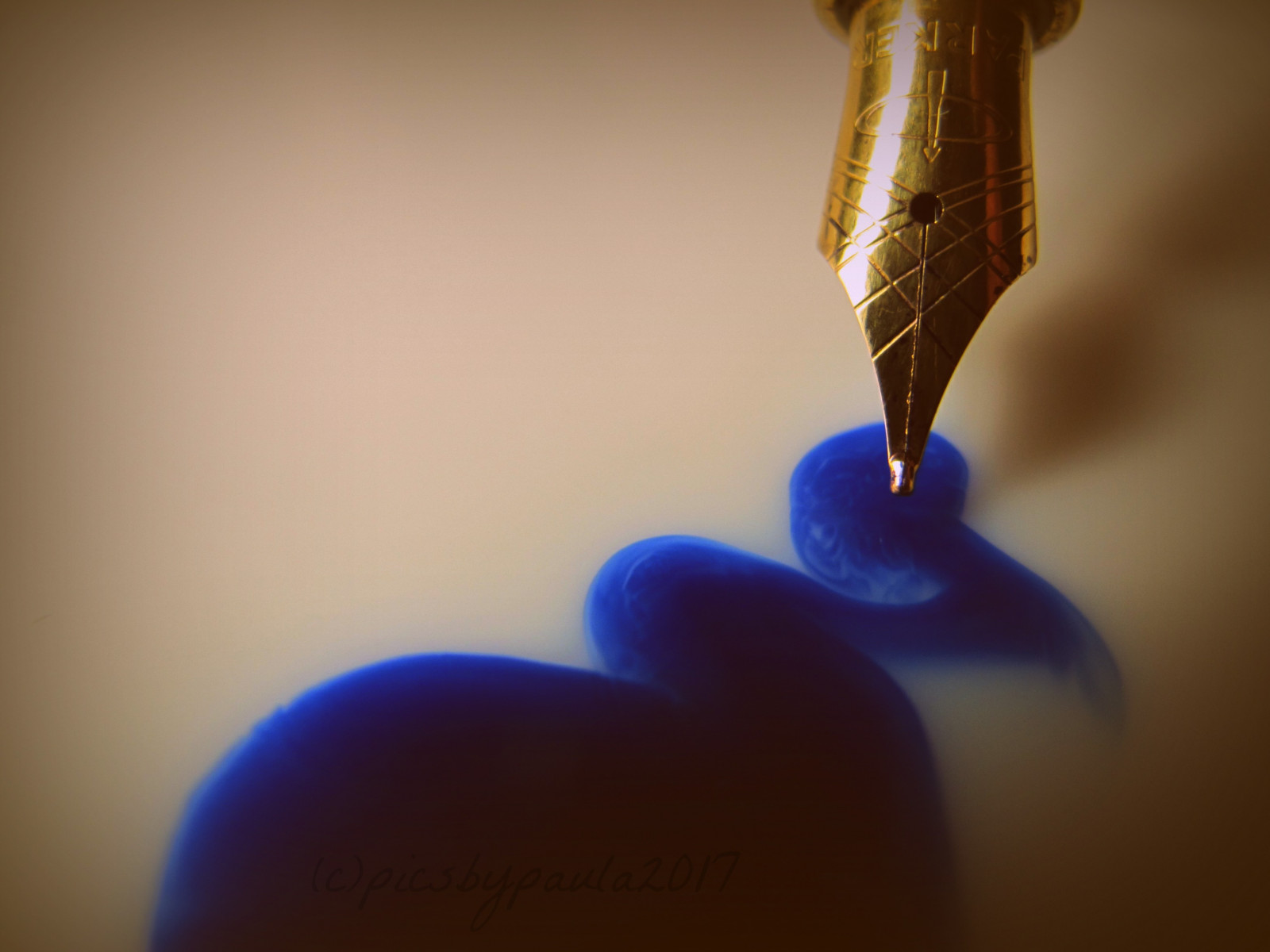 modrý, makro fotografie, zblízka, světlo, zátiší fotografování