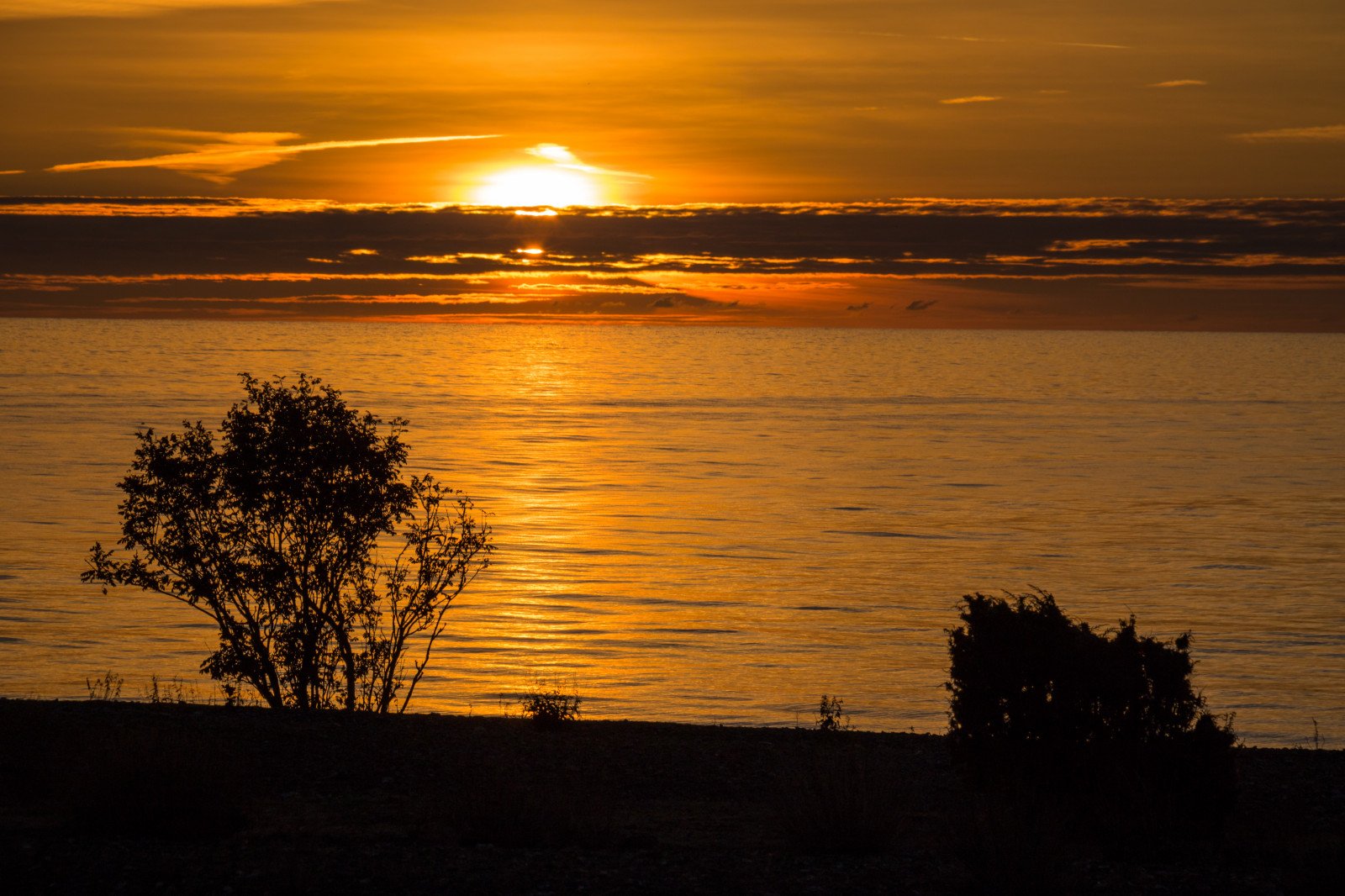 luce del sole, tramonto, mare, puntellare, riflessione, cielo, spiaggia, Alba, sera, mattina, costa, Sole, orizzonte, crepuscolo, nube, alba, oceano, sagome, himmel, solnedg ng, HAV, siluetter, Gotland, llar holmh, attackfoto, attackfoto8, Rauk, seastack, ultimi bagliori