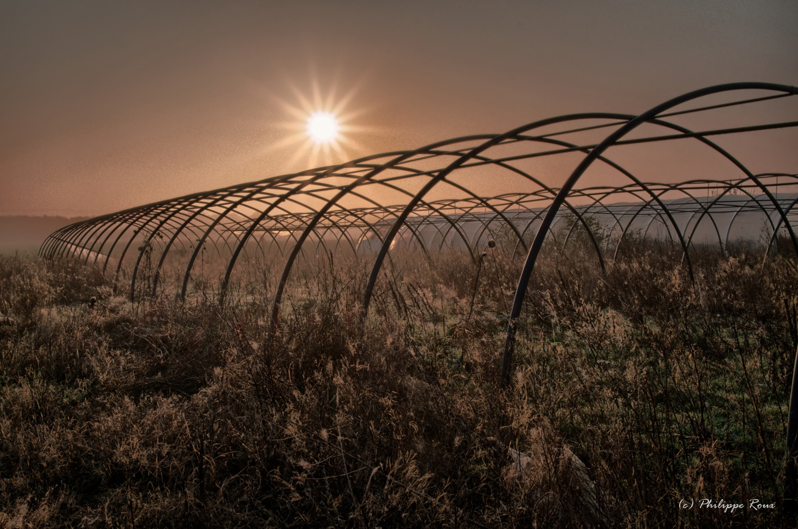 slunečnímu záření, krajina, západ slunce, Příroda, tráva, pole, větev, svítání, večer, ráno, vítr, horizont, Fujifilm, světlo, strom, rostlina, fuji, zemědělství, Fujinon, prérie, půda, venkov, přírodní prostředí, atmosférický jev, dřevina, outdoor struktura, tráva rodina, XM1, 1650mm
