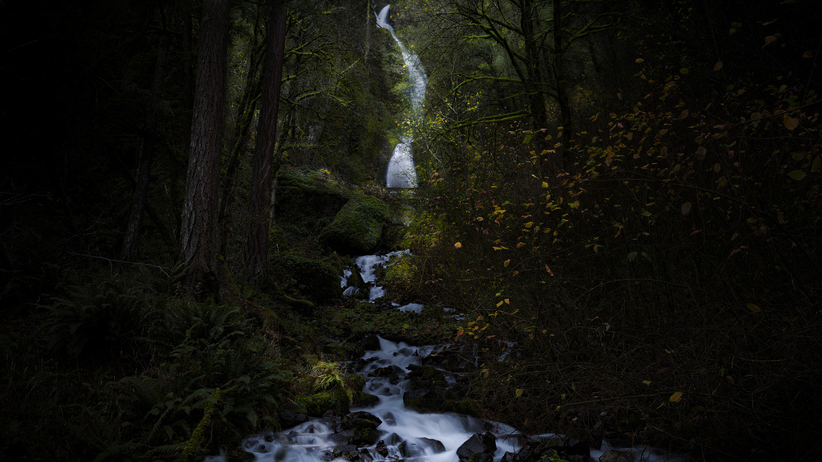 les, rokle, Columbia, Oregon, Příroda, zelená, podzim, voda, skály, víla, Kánon, markiii, stromy, venkovní, vodopád, květiny