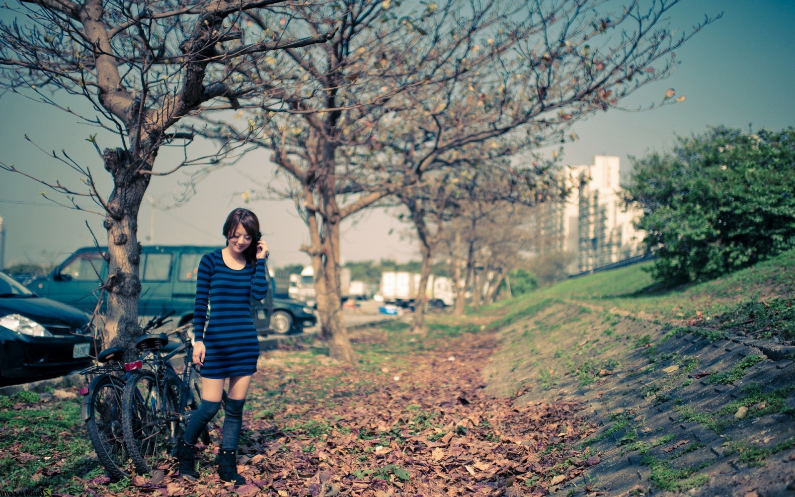 slunečnímu záření, Příroda, tráva, asijský, ráno, Třešňový květ, jaro, Mikako, strom, podzim, list, květ, rostlina, sezóna, 1920x1200 px, zálesí, venkov, dřevina