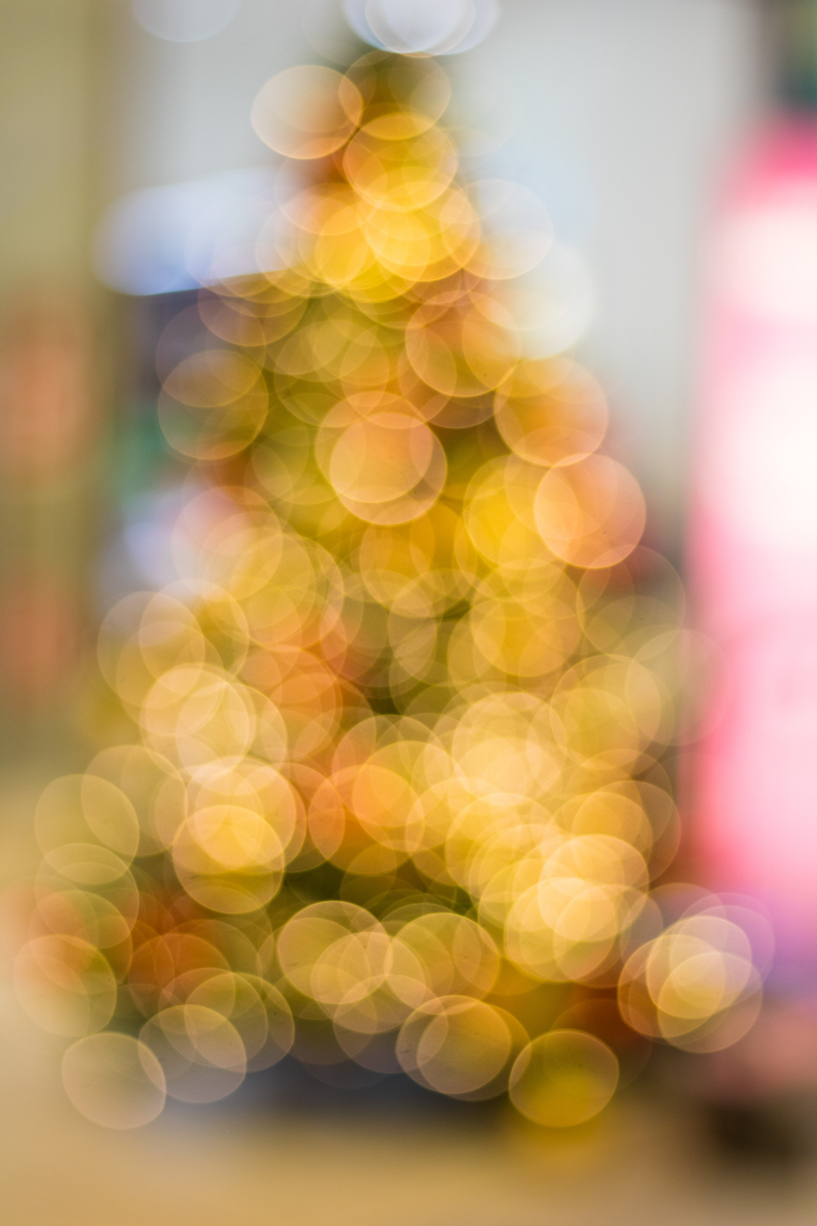 jídlo, větev, ovoce, žlutý, Německo, Vánoce, bokeh, zrnko vína, květ, rostlina, Vánoce, vánoční strom, julgran, vánoční trh, července, Německo, deutschland, Rostock, julmarknad, exif modelu canoneos760d, geocountry, Kamera aby kánon, geocity, Model fotoaparátu canoneos760d, exif isospeed 250, geostate, geolocation, exif aby kánon, exif focallength 50mm, EXIF ef50mmf18stm čočka, EXIF otvor 18, weinachtsmarkt, vyrobit, suchozemská rostlina, kvetoucí rostlina, zblízka, vitis, vinná réva rodina