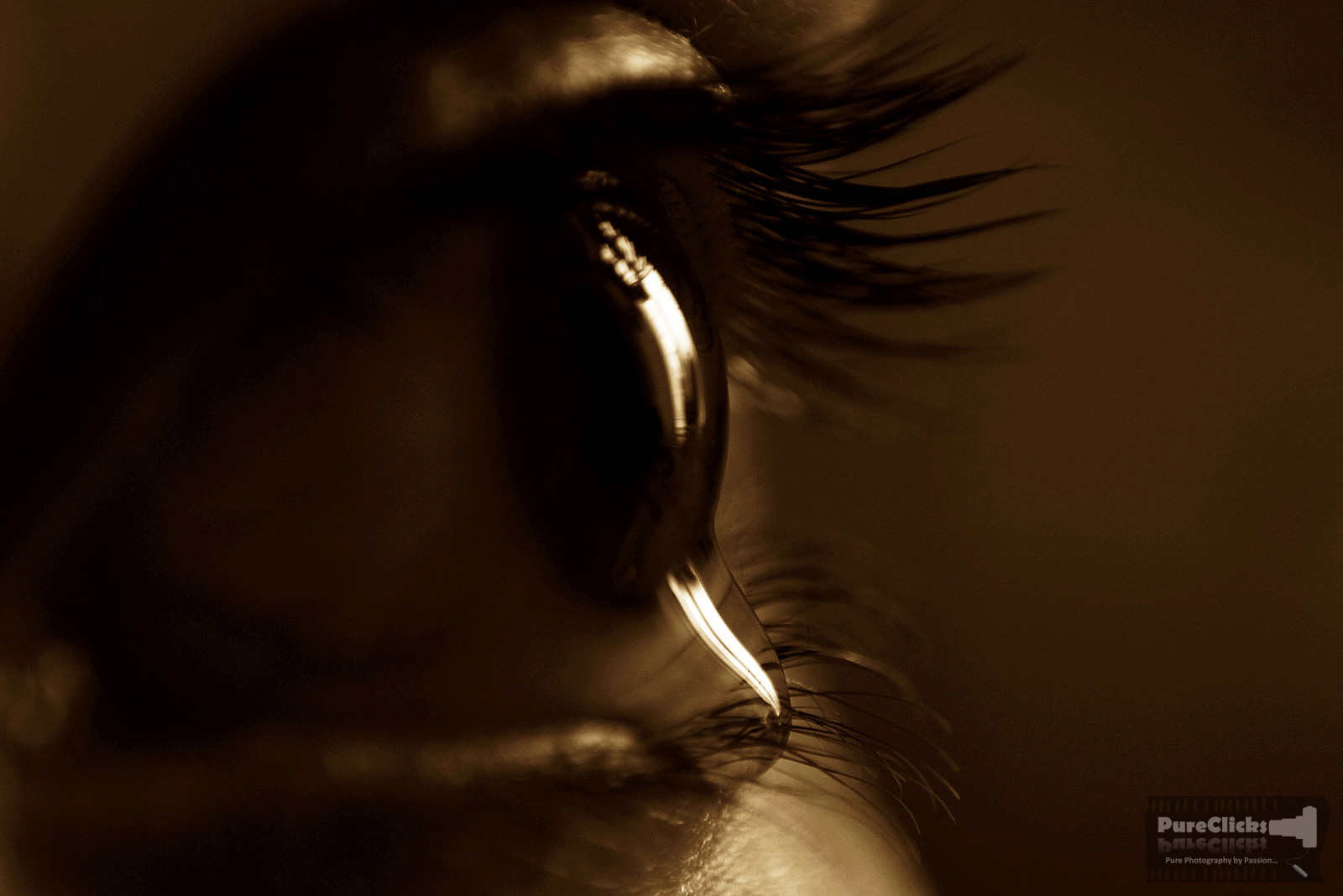 ansigt, sort, monokrom, øjne, briller, fotografering, Canon, fotograf, håber, tårer, mund, næse, emotion, hud, hoved, Perle, lys, skønhed, bw, øje, dråber, skal, mørke, synes godt om, skrig, Dagens billede, øre, menneskelige legeme, vision pleje, organ, tæt på, makrofotografering, øjenvipper, del, pureclicks