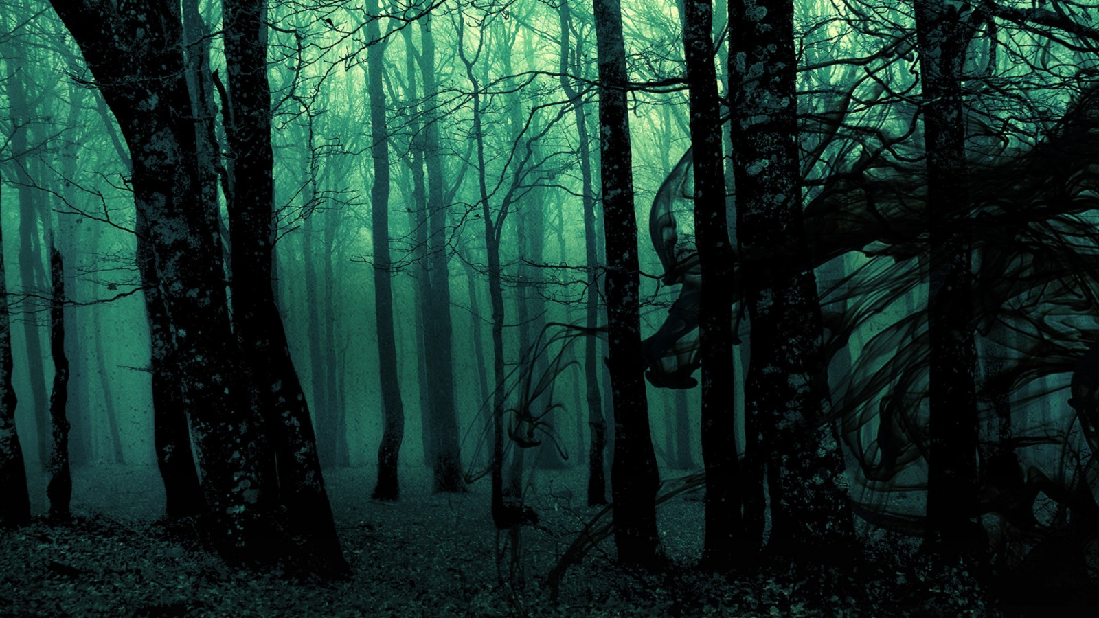sunlight, trees, forest, digital art, monochrome, dark, nature, spooky, branch, green, mist, jungle, tree, darkness, screenshot, woodland, habitat, natural environment, atmospheric phenomenon, computer wallpaper, geographical feature, ecosystem, old growth forest