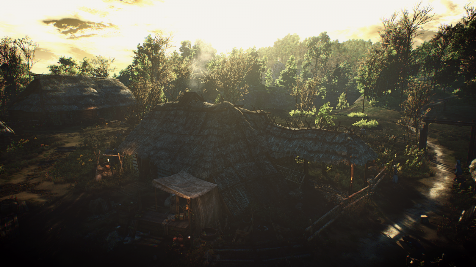 luce del sole, foresta, videogiochi, tramonto, notte, natura, riflessione, sera, mattina, The Witcher 3 Caccia Selvaggia, giungla, leggero, albero, autunno, oscurità, immagine dello schermo, fenomeno atmosferico