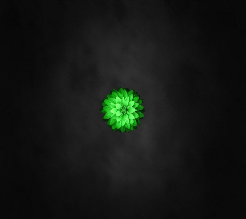 Příroda, zelená, kruh, tma, oko, 1440x1280 px Příroda, zelená, kruh, tma, oko, 1440x1280 px