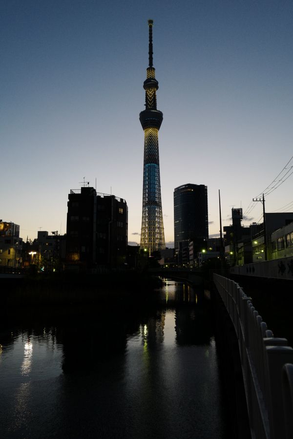 Japan,sunset,city,cityscape,night,architecture