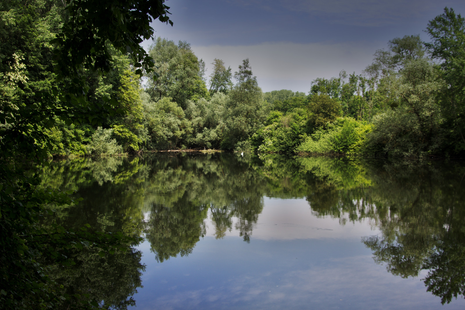 Hintergrundbilder Rhein Deutschland Wasser Wald Kanon Eos600d 