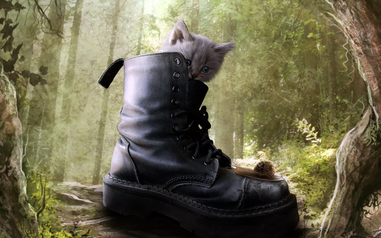 Wallpaper 1920x1200 px, animals, boots, cats, forest, kittens, trees 1920x1200 wallpaperUp