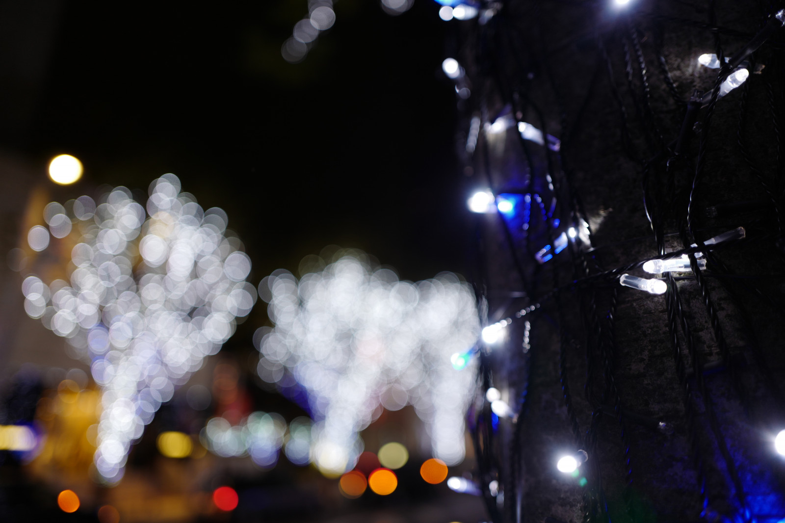 Japan, nat, blå, julelys, Leica, Tokyo, Jp, lys, farve, belysning, mørke, keyakizaka, summilux, leicaq, summilux1728, q, 1728, ropponngi, atmosfære af jord