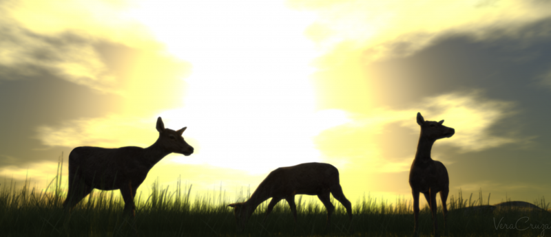 sunlight, landscape, sunset, nature, artwork, silhouette sunlight, landscape, sunset, nature, artwork, silhouette