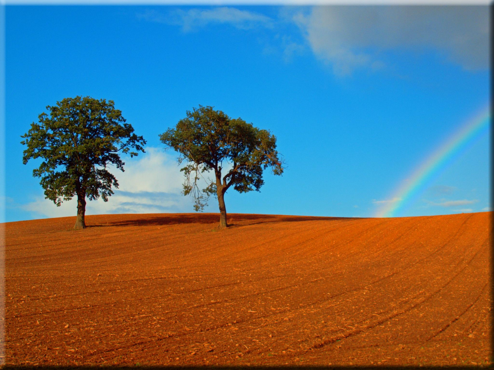 stromy, krajina, nebe, pole, poušť, horizont, Olympus, strom, podzim, lučina, prostý, Herbst, b UME, prérie, půda, místo výskytu, přírodní prostředí, landform, geografický rys, ekosystém, tráva rodina, savana, Liparské landform, E620