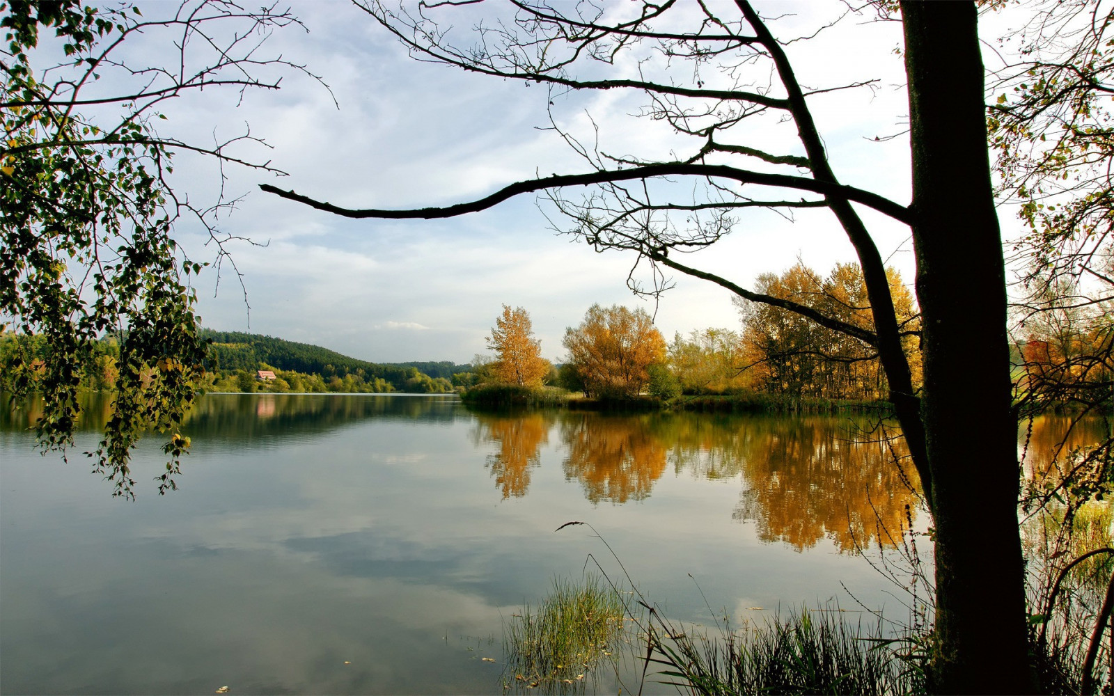 slunečnímu záření, krajina, jezero, voda, Příroda, odraz, nebe, větev, ráno, řeka, rybník, mokřadní, strom, podzim, list, květ, rostlina, sezóna, 1920x1200 px, zálesí, venkov, atmosférický jev, dřevina, tělo z vody