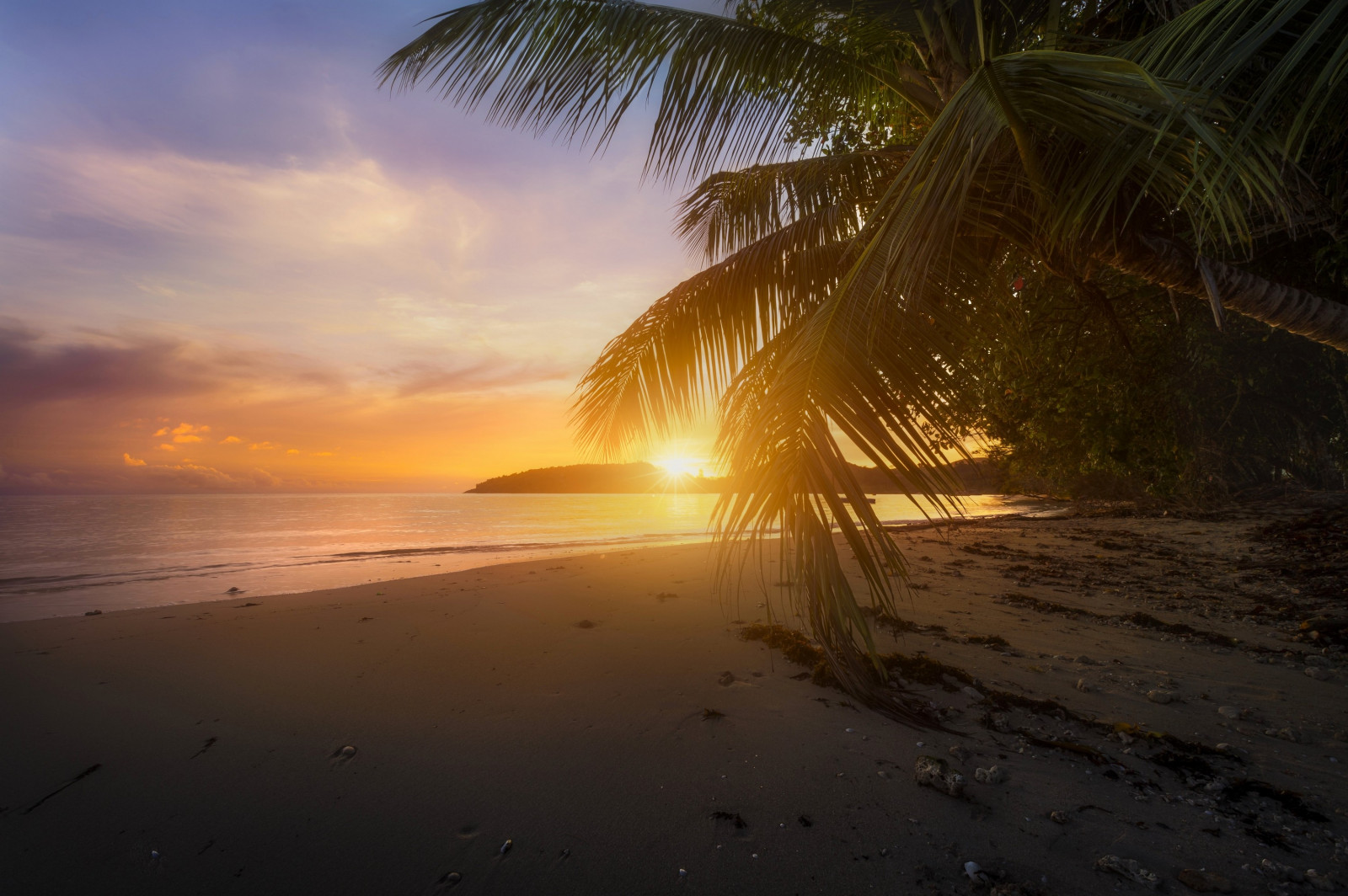 slunečnímu záření, západ slunce, moře, odraz, pláž, svítání, večer, ráno, mlha, pobřeží, palmy, slunce, horizont, soumrak, světlo, svítání, oceán, vlna, atmosférický jev