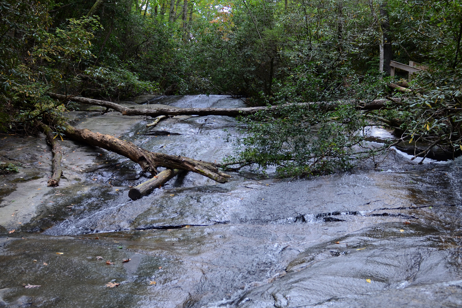 แนวนอน, ป่า, ภูเขา, น้ำ, หิน, ธรรมชาติ, จอด, กลางแจ้ง, ตาราง, แม่น้ำ, สหรัฐอเมริกา, ถิ่นทุรกันดาร, ป่า, กระแส, เดินป่า, ธนาคาร, ป่าฝน, ธรรมชาติสำรอง, พื้นที่ชุ่มน้ำ, แคโรไลนา, ต้นไม้, ธุดงค์, ปลูก, ป่า, เรา, สายน้ำ, ใต้, ท่องเที่ยว, รวดเร็ว, ลำห้วย, ภาคใต้, สถานะ, การท่องเที่ยว, ป่าไม้, ปลายทาง, เนื้อน้ำ, ป่าเจริญเติบโตเก่า, คุณลักษณะน้ำ, ป่าโกงกาง, รัฐปาร์ค, ที่ราบลุ่ม, เตียงสตรีม, อาร์โรโย, แหล่งน้ำ, แคว, riparian zone, fluvial landforms of streams