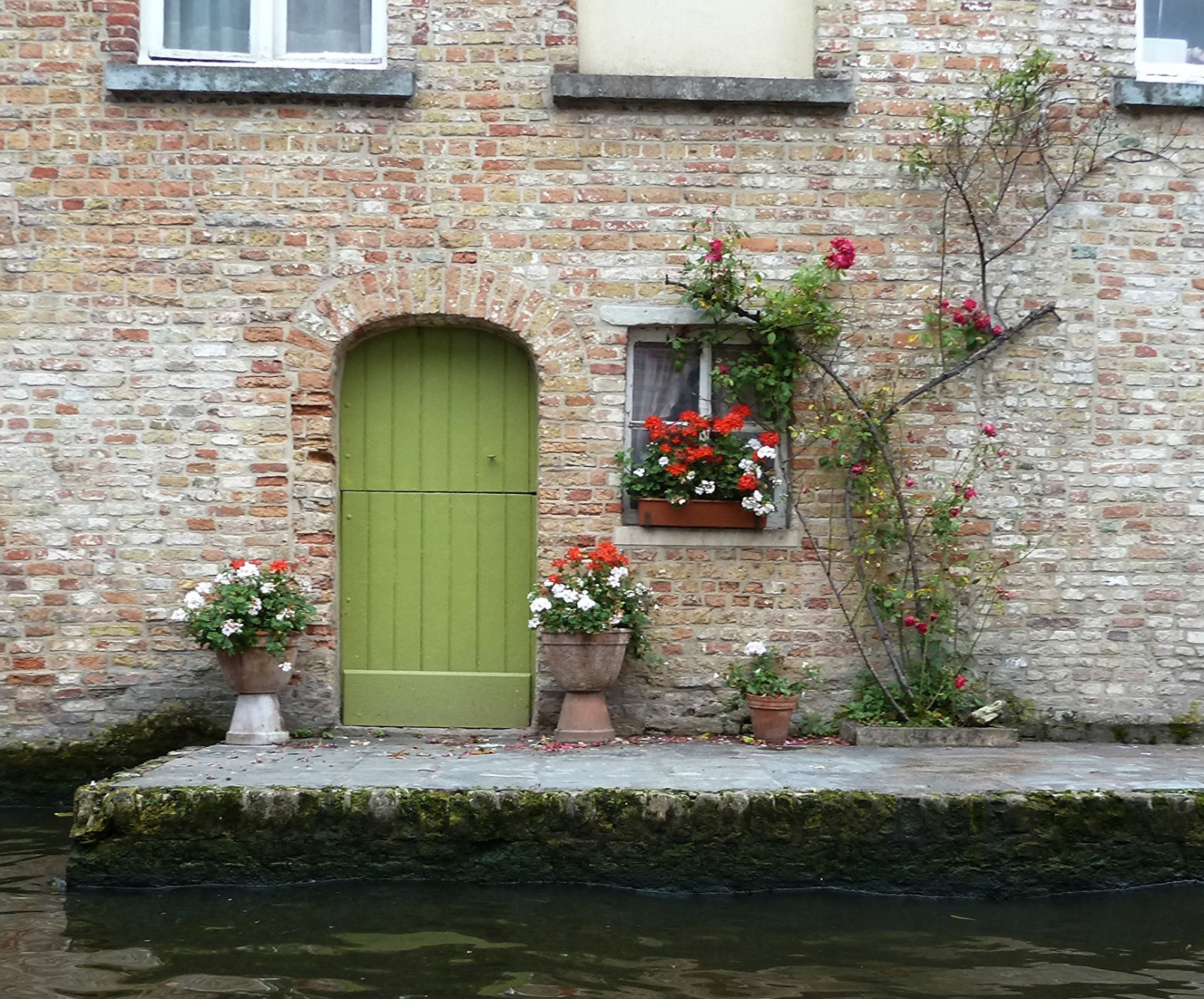 blomst, hus, væg, vindue, facade, dør, hjem, gårdsplads, sommerhus, plante