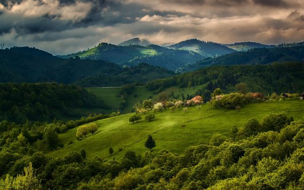 landscape, forest, mountains, hill, trees, lake