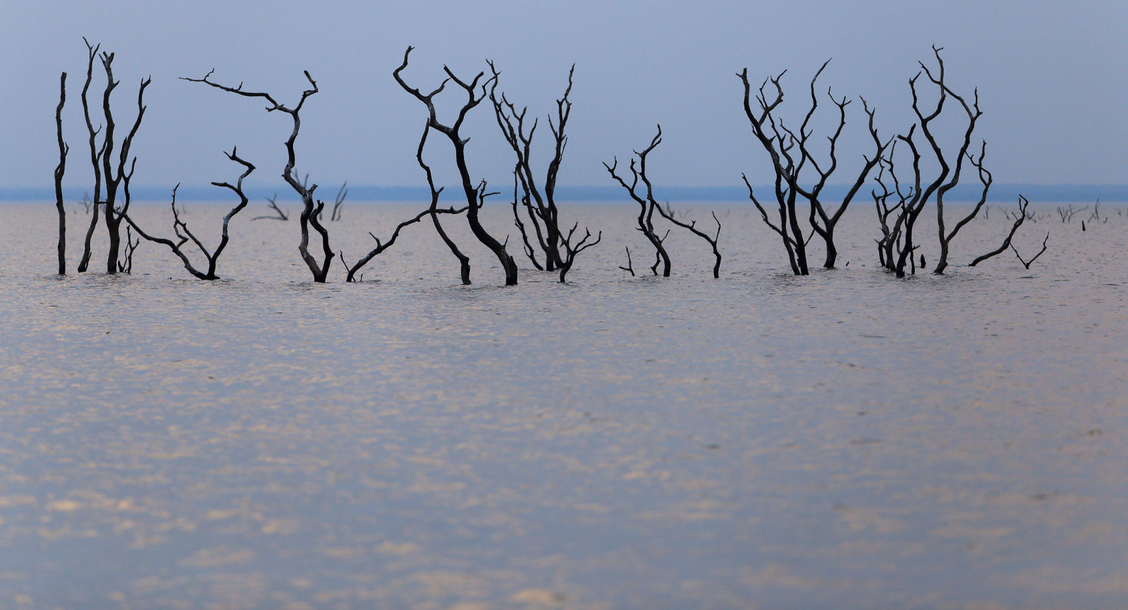 itezhitezhidam, jezero, itezhitezhi, artificiallake, Stausee, Kafue, voda, wasser, strom, baum, mrtví, mrně, rostliny, Pflanzen, Příroda, natur, krajina, Landschaft, 2014, anymotion, kafuenationalpark, Zambie, Sambia, Afrika, afrika, cestovat, reisen, 6d, canoneos6d, landschaftsaufnahmen, ngc