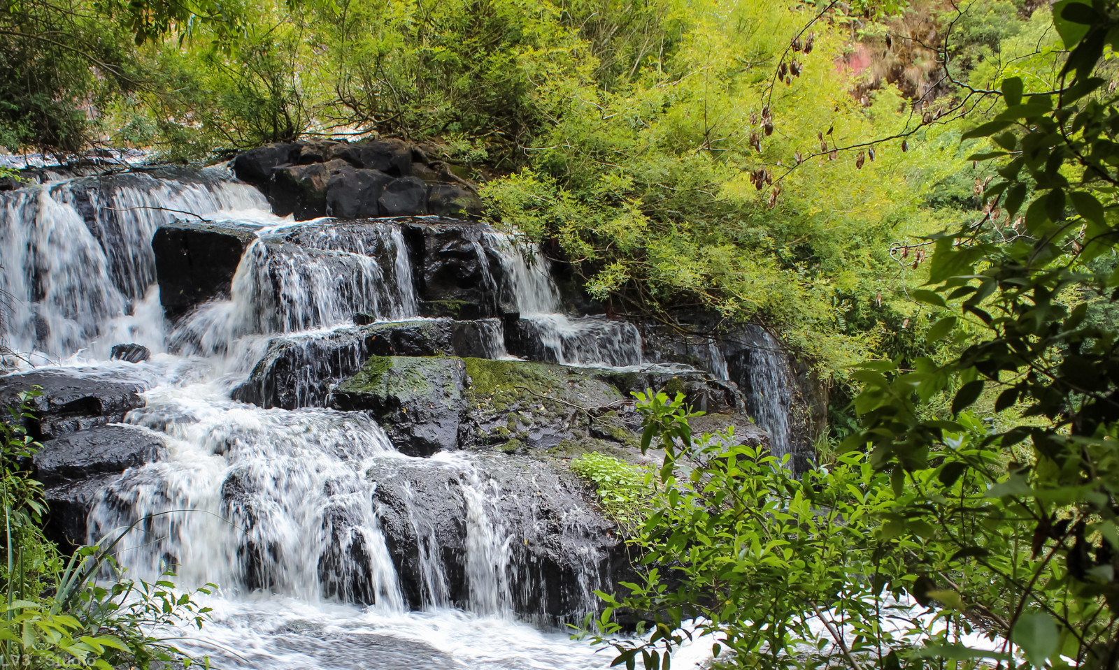 Wallpaper waterfall, vegetation, body of water, nature reserve
