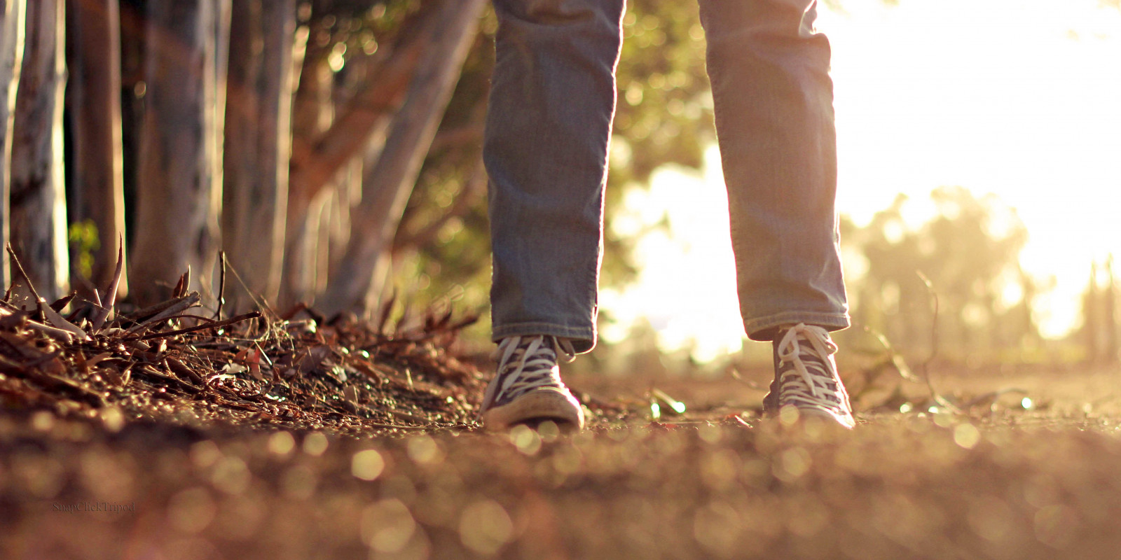 luce del sole, erba, fotografia, legna, giallo, denim, scarpe da ginnastica, bokeh, conversare, felicità, strada sterrata, leggero, albero, autunno, ragazza, divertimento, fotografia, scarpa, noioso, sulla strada, bla, ourdailychallenge, puah, sbadiglio, sono io, lacci delle scarpe, dopo la pioggia, vicino, afternoonwalk, stock photography