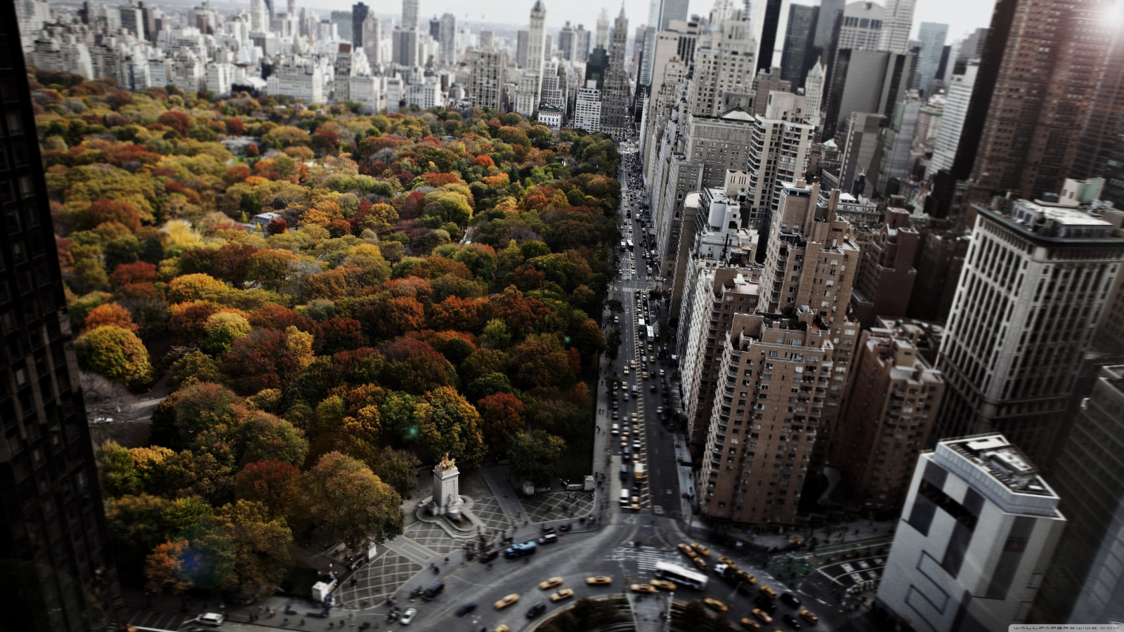 alberi, autunno, finestra, città, strada, paesaggio urbano, architettura, auto, urbano, costruzione, parco, orizzonte, grattacielo, Taxi, sfocato, New York City, vista aerea, Stati Uniti d'America, vista a volo d'uccello, Parco centrale, metropoli, rotatorie, stagione, punto di riferimento, immagine dello schermo, area urbana, insediamento umano, fotografia aerea
