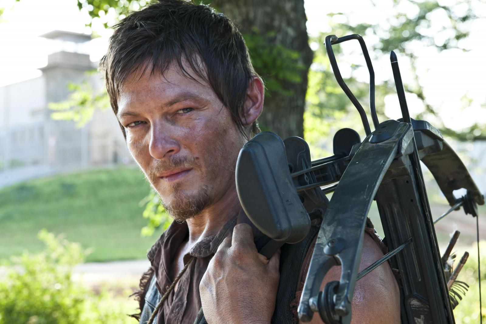 lidé, Walking Dead, Osoba, Norman Reedus, Daryl Dixon, muž, mužský