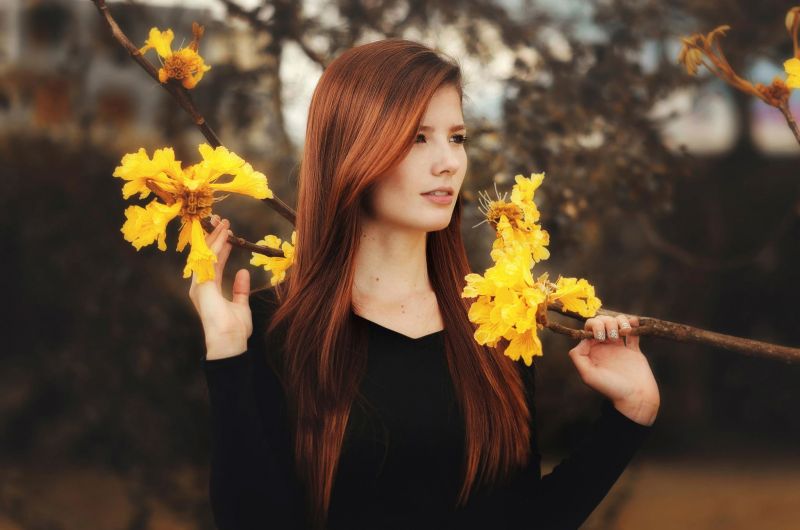 slunečnímu záření, stromy, les, ženy, ryšavý, model slunečnímu záření, stromy, les, ženy, ryšavý, model