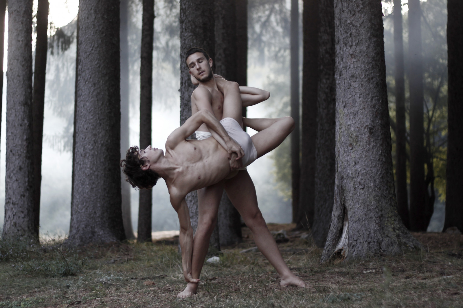 portrét, les, Ale, tanečník, francesco, bosco, cignonero, Apolloanddaphne, irinamattioli