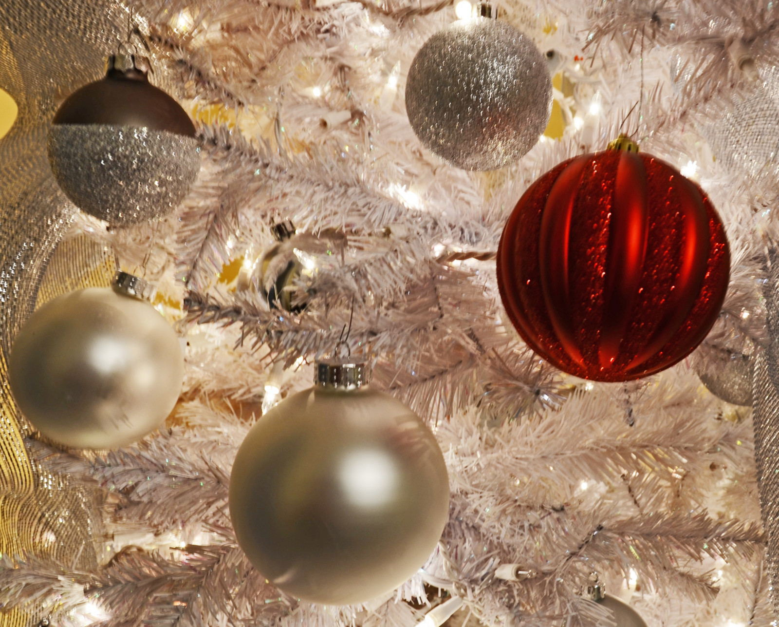 Vánoce, světlo, Červené, bílý, Dovolená, slavnostní, Nikon, Soustředit se, prosinec, jasný, citát, míče, vánoční strom, ozdoby, dailyphoto, odc, 365group, ourddailychallenge, youcanthavealightwithoutadarktostickitin arloguthrie
