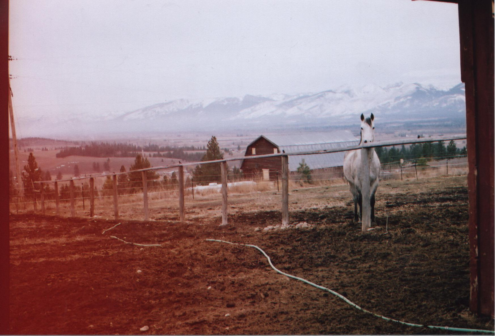 krajina, bílý, kopec, kůň, nebe, sníh, zima, pole, vesnice, hospodařit, stodola, 35MM, latte, přízemní, Montana, světlo, hora, hospodářská zvířata, pastvina, ranč, venkov, stanice hill, unikat, pozemek pozemek, pack animal, ekoregion